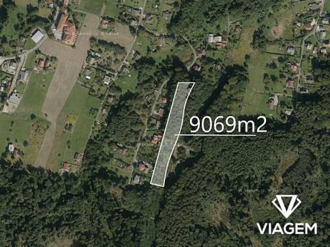Prodej lesa, Rychvald, 9069 m2