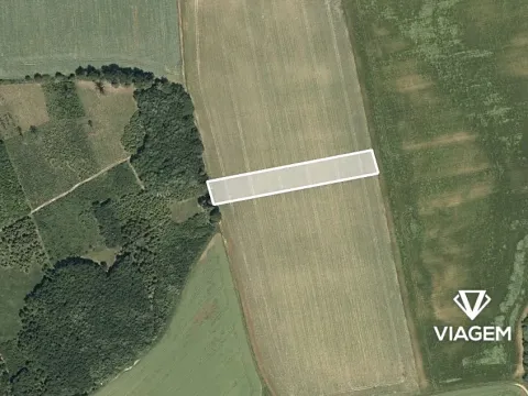 Prodej podílu pole, Sobíšky, 647 m2