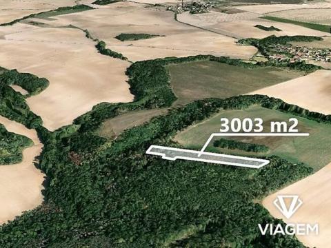 Prodej lesa, Medlice, 3003 m2