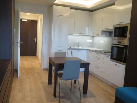 Pronájem bytu 1+kk, Praha - Stodůlky, Mukařovského, 30 m2