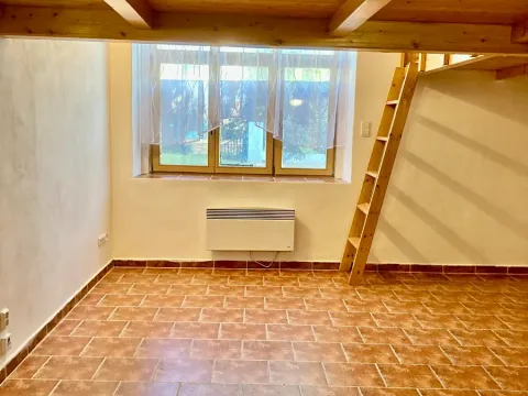 Pronájem bytu 1+kk, Praha - Košíře, Vrchlického, 35 m2