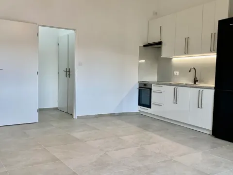 Pronájem bytu 1+kk, Praha - Košíře, Vrchlického, 35 m2