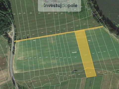 Prodej pole, Neurazy - Vojovice, 1503 m2