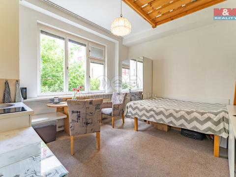 Pronájem bytu 1+kk, Praha - Karlín, Thámova, 20 m2
