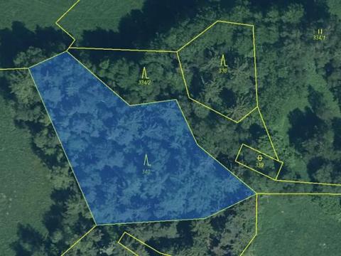 Prodej lesa, Kolinec, 2733 m2
