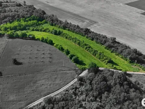 Prodej podílu 1/4 pozemku, Bechlín, 14560 m2