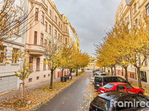 Pronájem bytu 3+1, Brno - Veveří, Čápkova, 155 m2