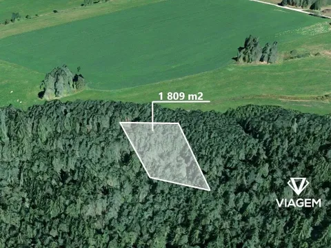 Prodej podílu lesa, Žďár nad Sázavou, 904 m2