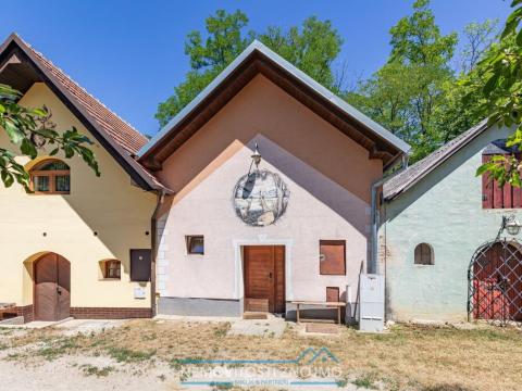 Prodej vinného sklepa, Pravice, 114 m2