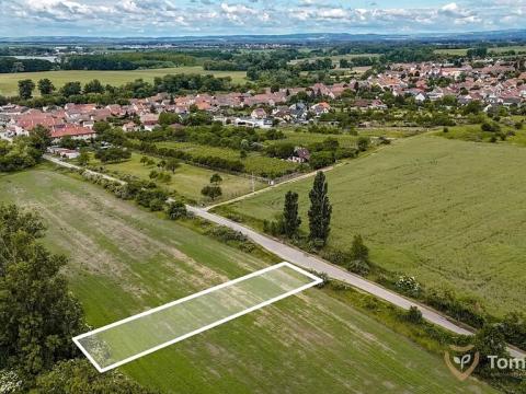 Prodej pole, Přibice, 713 m2