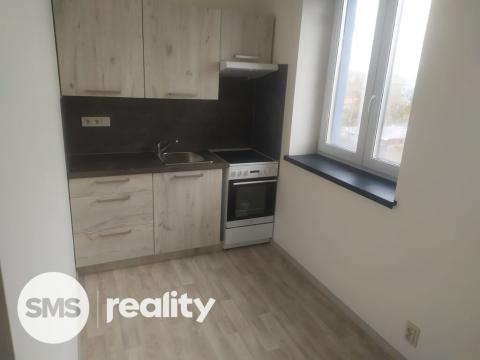 Pronájem bytu 1+1, Opava - Předměstí, Rybářská, 25 m2