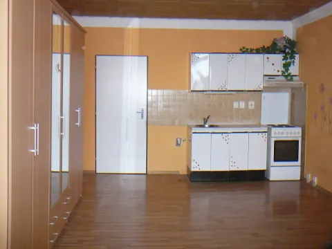 Pronájem bytu 1+kk, Orlová, F. S. Tůmy, 33 m2
