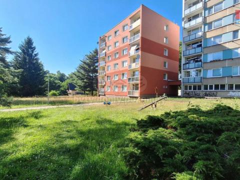 Prodej bytu 1+kk, Nový Bor, Sadová, 19 m2