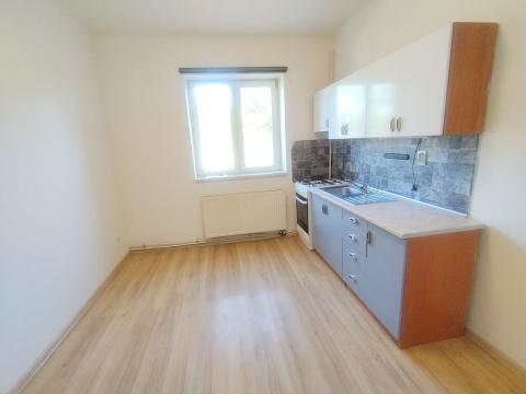 Pronájem bytu 1+1, Ostrava - Heřmanice, Parcelní, 45 m2