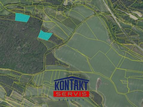 Prodej lesa, Obory, 29026 m2