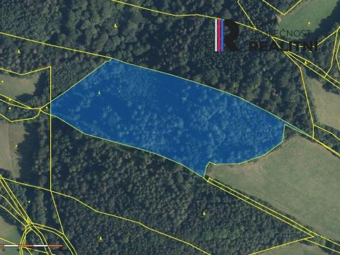 Prodej lesa, Velké Losiny, 28961 m2