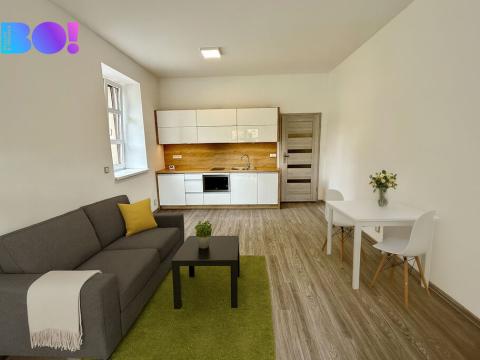 Pronájem bytu 1+kk, Český Těšín, Pod Zvonek, 30 m2
