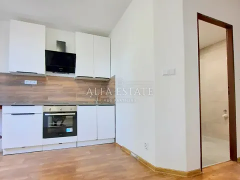 Pronájem bytu 2+1, Karlovy Vary - Stará Role, Fibichova, 63 m2