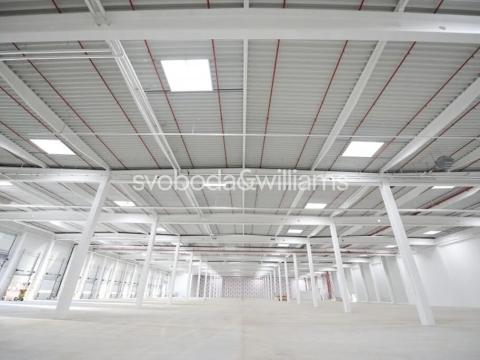 Pronájem skladu, Ostrava, Halasova, 9532 m2