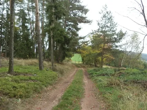 Dražba pozemku, Lázně Bělohrad, 2376 m2