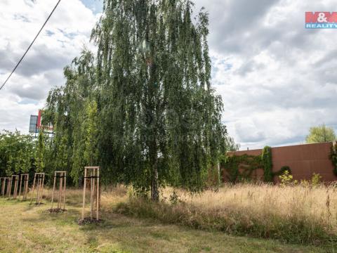 Pronájem zahrady, Pardubice, Pištorova, 1835 m2