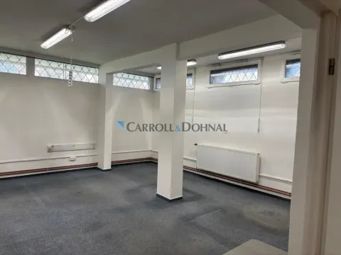 Pronájem skladu, Brno - Lesná, Loosova, 38 m2