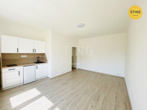 Pronájem bytu 1+kk, Ostrava, Hlavní třída, 25 m2