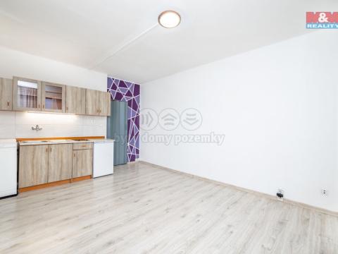 Pronájem bytu 1+kk, Opava - Kateřinky, Ratibořská, 21 m2