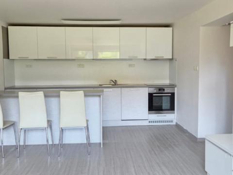 Pronájem rodinného domu, Veselí nad Moravou - Zarazice, Za Humny, 53 m2