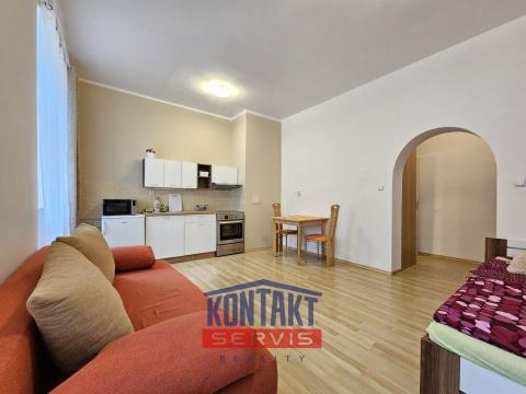 Pronájem bytu 1+kk, České Budějovice, B. Smetany, 29 m2