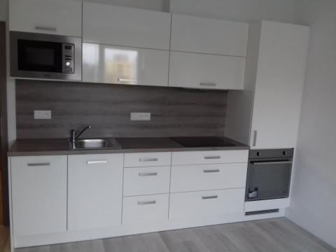 Pronájem bytu 2+kk, České Budějovice - České Budějovice 3, Riegrova, 41 m2