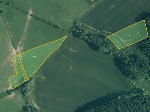 Prodej louky, Javor, 18182 m2