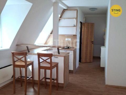 Pronájem bytu 1+kk, Opava, Vrchní, 28 m2