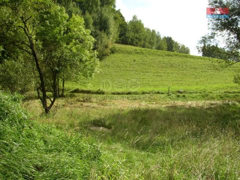 Prodej louky, Janův Důl, 2494 m2