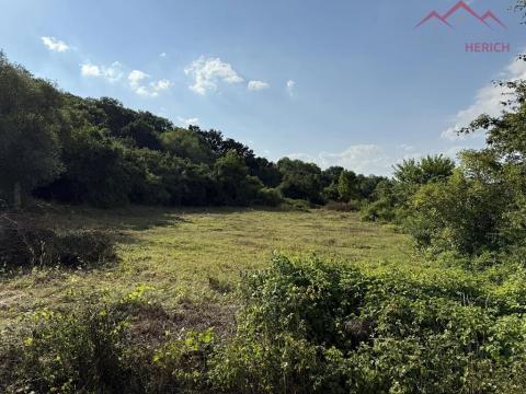 Prodej pozemku pro bydlení, Velemyšleves, 2241 m2