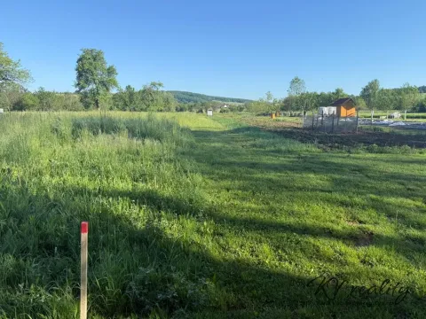 Prodej louky, Záhorovice, 3640 m2