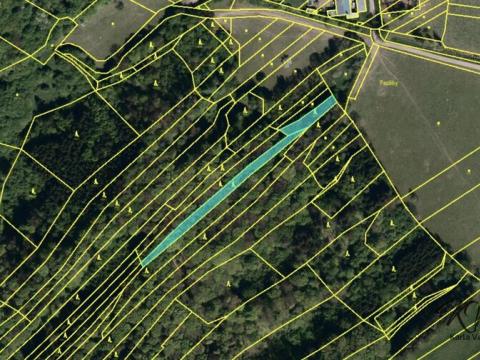 Prodej lesa, Bohuslavice nad Vláří, 1663 m2