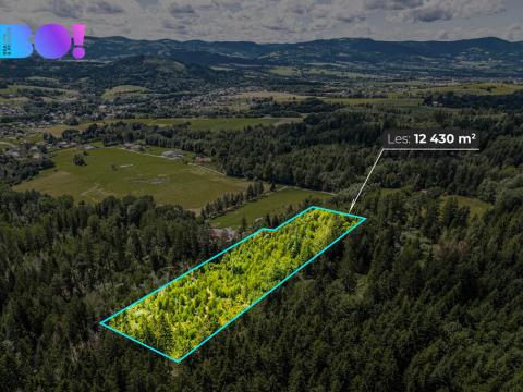 Prodej lesa, Písek, 12430 m2