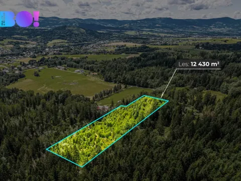 Prodej lesa, Písek, 12430 m2