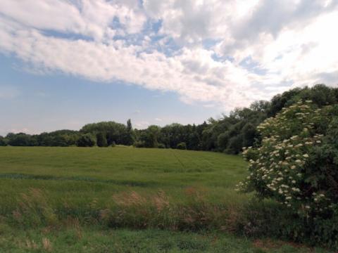 Prodej zahrady, Květnice, Lékořicová, 4623 m2