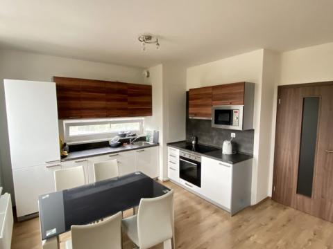 Pronájem bytu 1+kk, Plzeň - Severní Předměstí, Kotíkovská, 37 m2