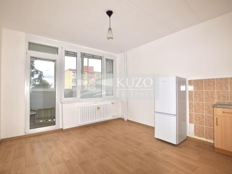 Pronájem bytu 1+kk, Plzeň, Mandlova, 23 m2