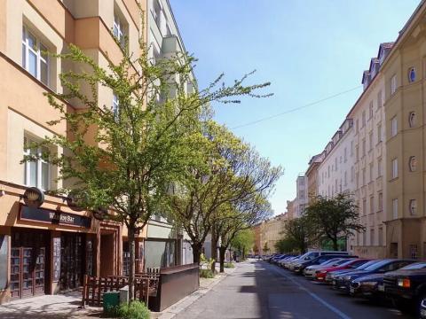 Pronájem bytu 1+1, Brno, Gorkého, 45 m2