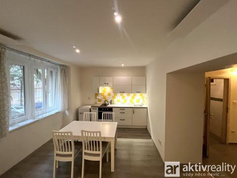 Pronájem bytu 1+1, Praha - Žižkov, Biskupcova, 47 m2