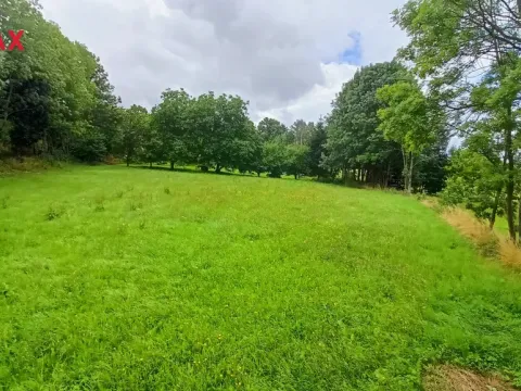 Prodej pozemku pro bydlení, Borotín, 1913 m2