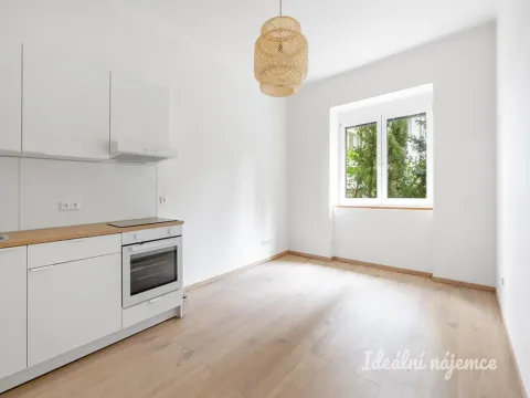 Pronájem bytu 1+kk, Praha - Vršovice, Petrohradská, 24 m2