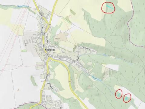 Prodej lesa, Neslovice, 2112 m2