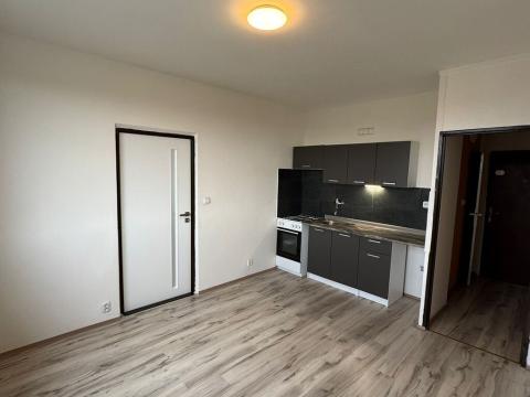 Pronájem bytu 1+1, Chomutov, 17. listopadu, 35 m2
