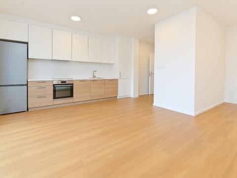 Pronájem bytu 1+kk, Brno - Černovice, Mírová, 33 m2