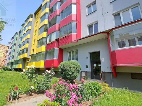 Pronájem bytu 1+kk, Ostrava, Sokolovská, 22 m2